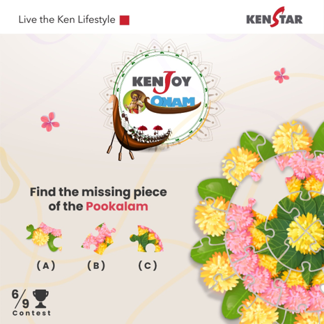 Kenstar — festival campaign by Pomelo Digital (4)