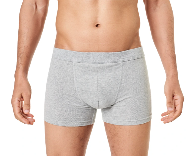 Männlicher Oberkörper und Beine tragen graue Boxershorts, vor weißem Hintergrund.
