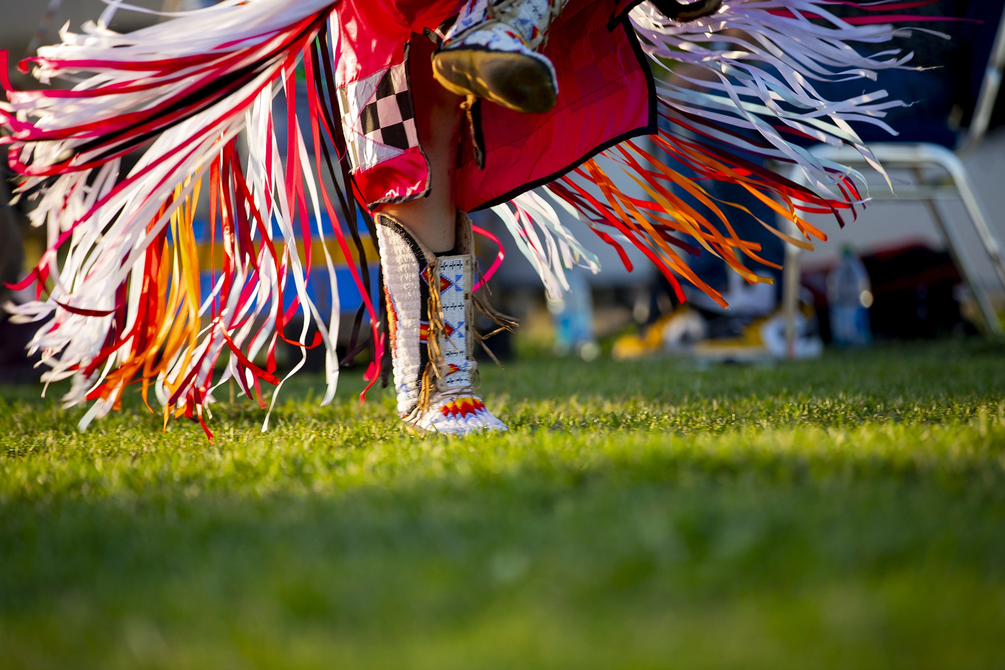 Top Things to Do in Spruce Grove The Grove Guide