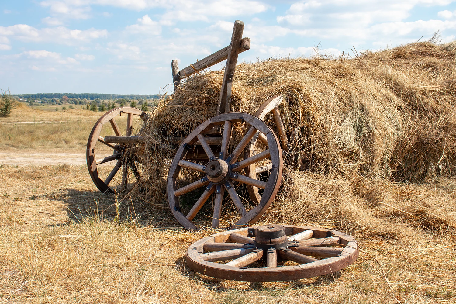 Stony Plain & Parkland Pioneer Museum