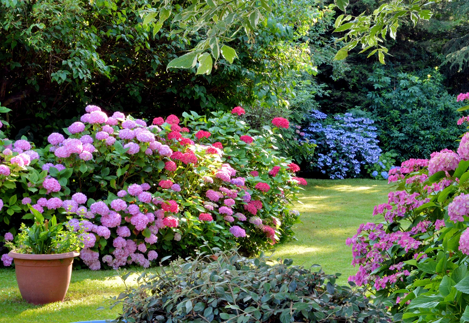 University of Alberta Botanic Garden