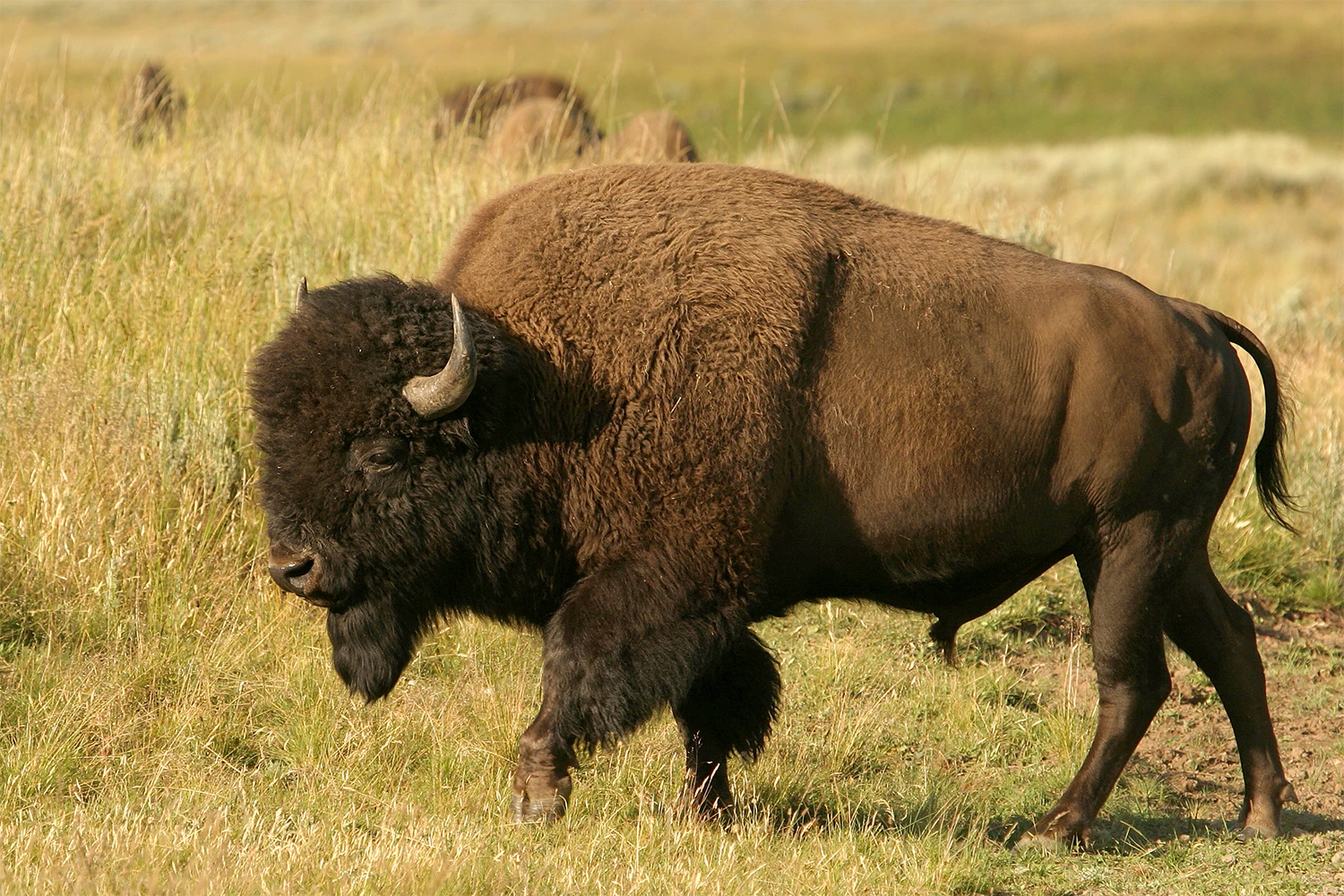 Elk Island National Park