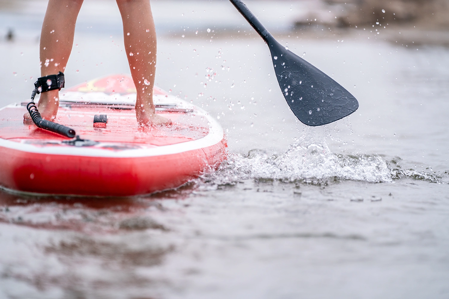 Edmonton Paddleboarding