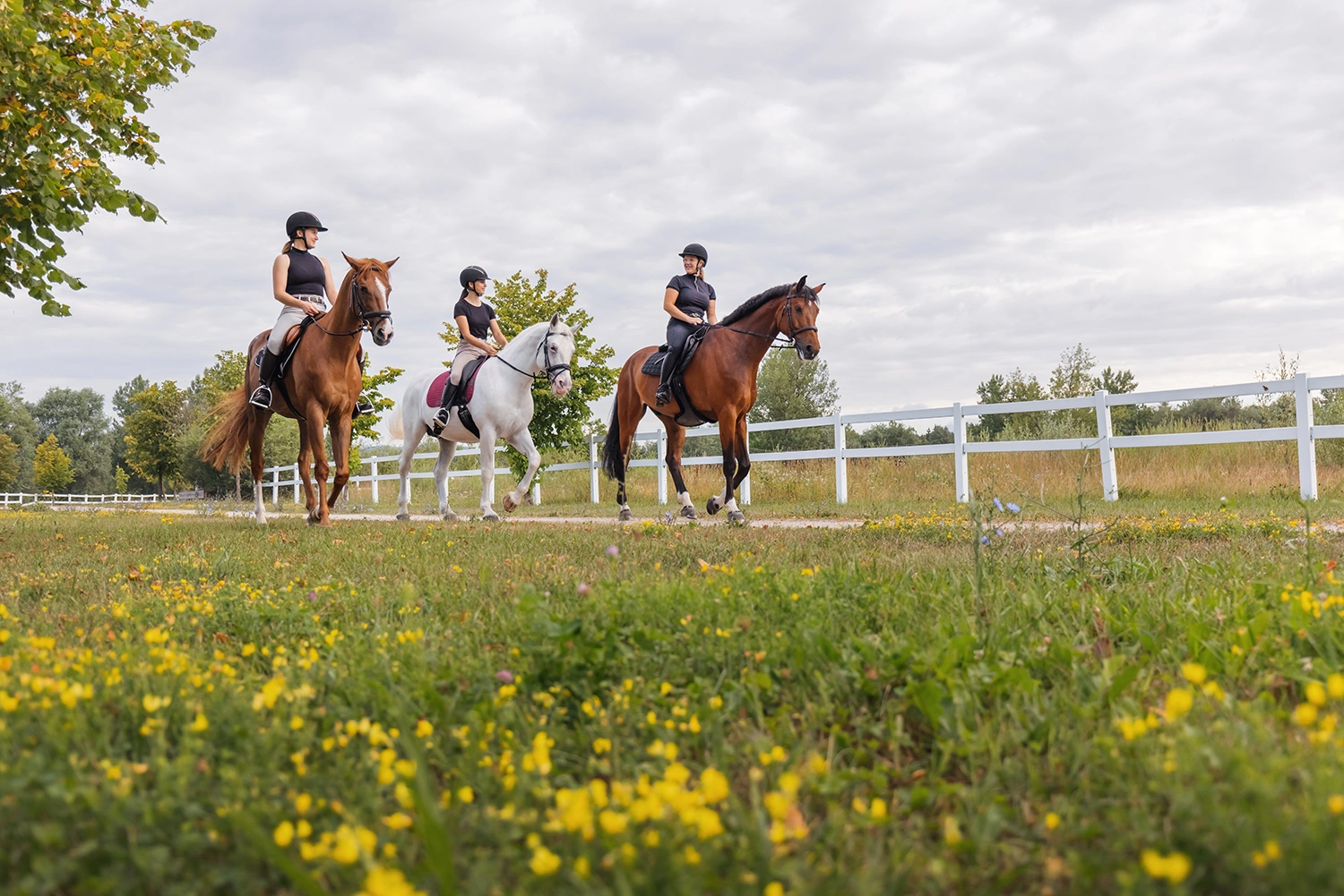 Horseback Riding at Putting Horse Ranch