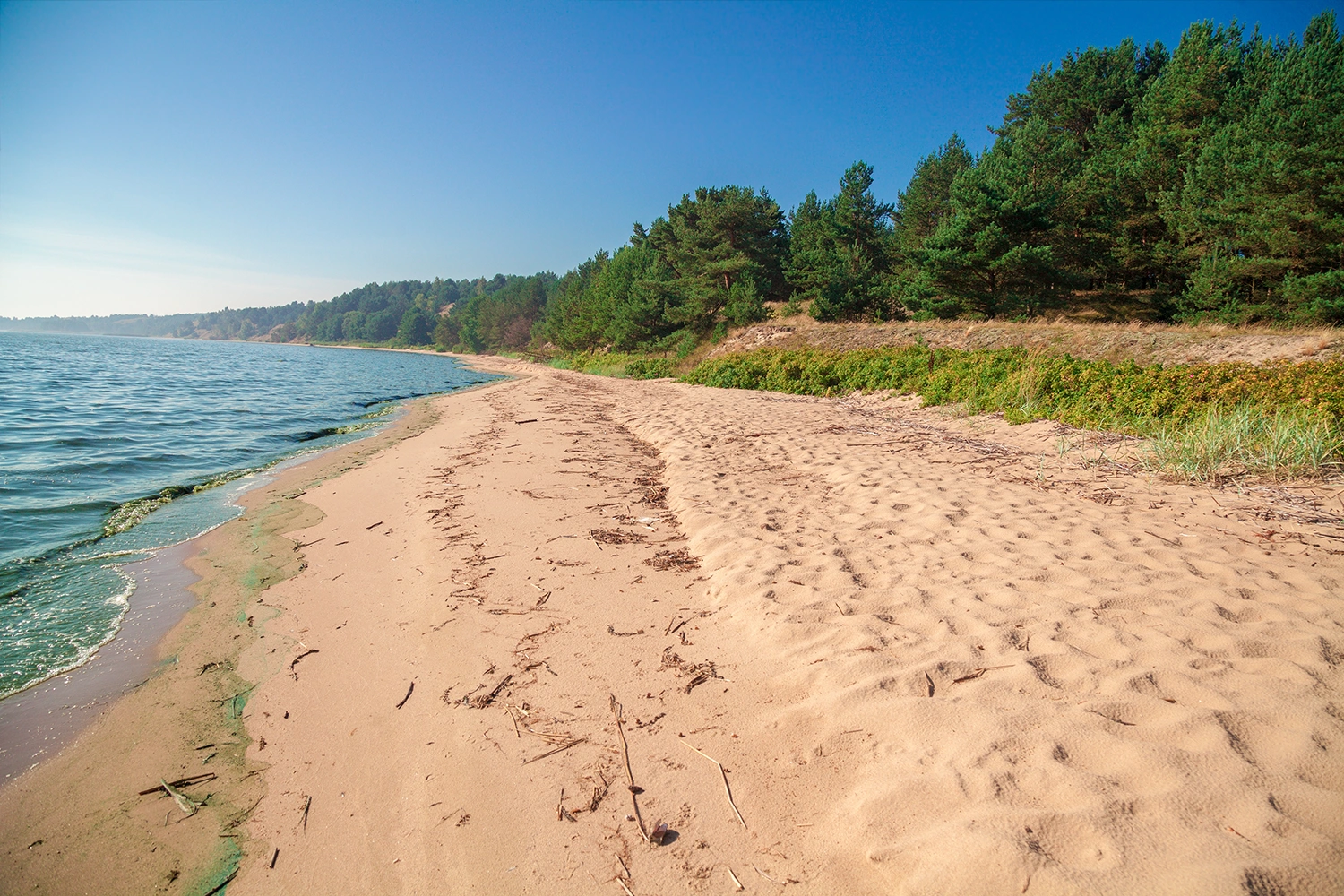 Wabamun Lake Provincial Park