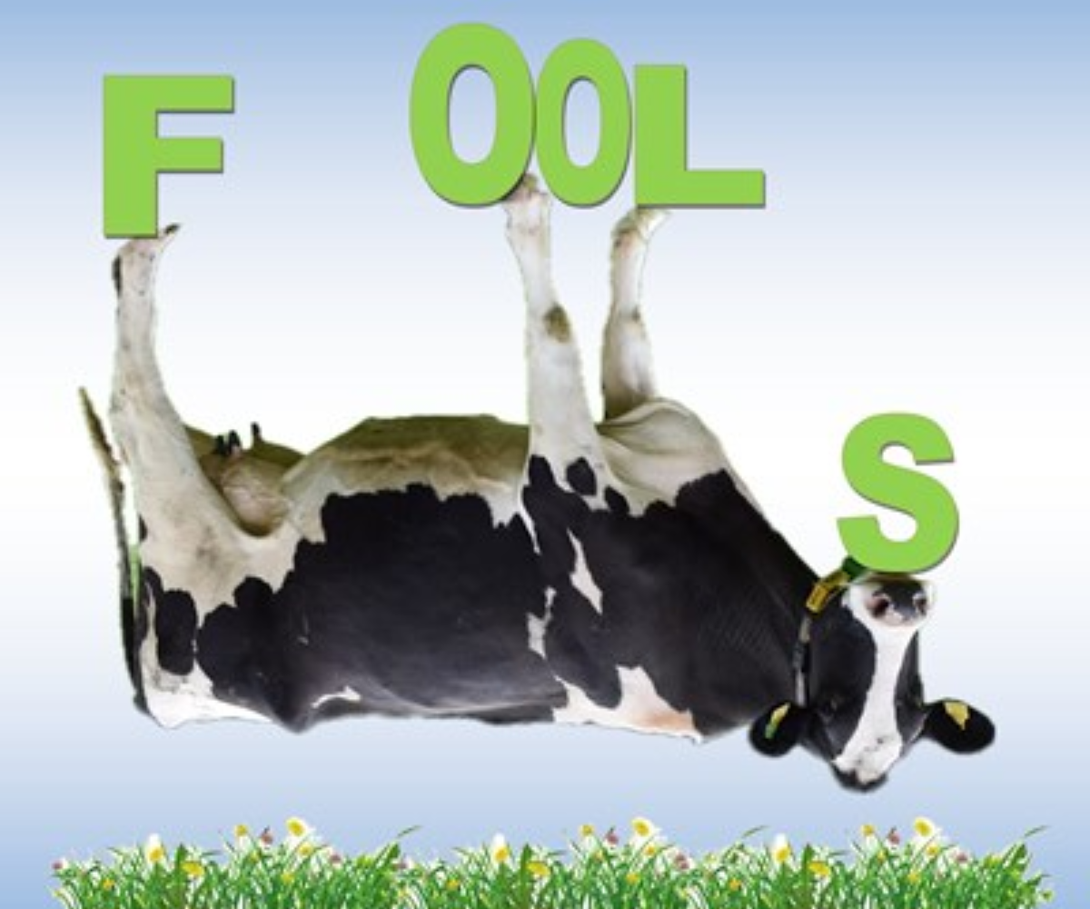 Horizon Players' Production of Fools