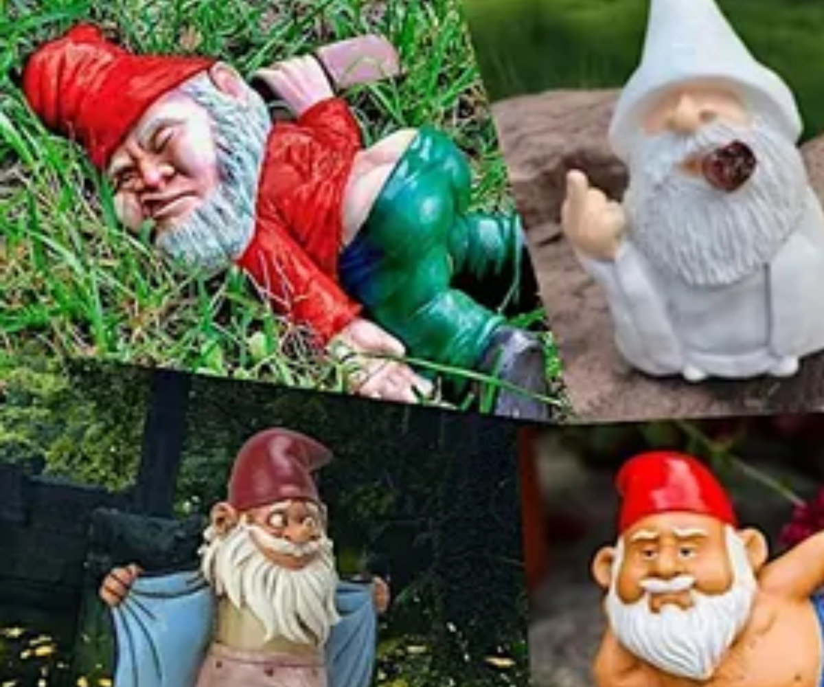 Naughty Gnomes