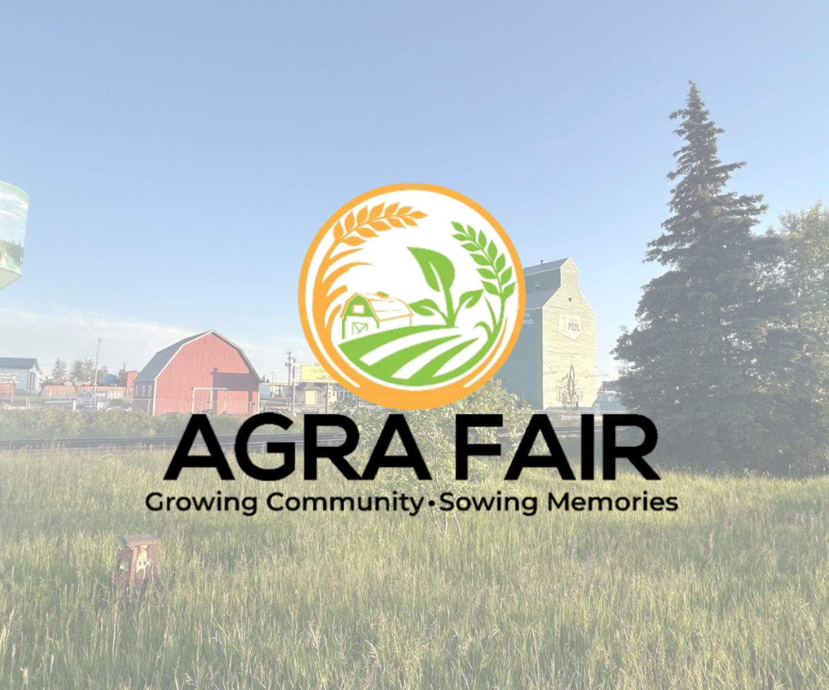 Agra Fair