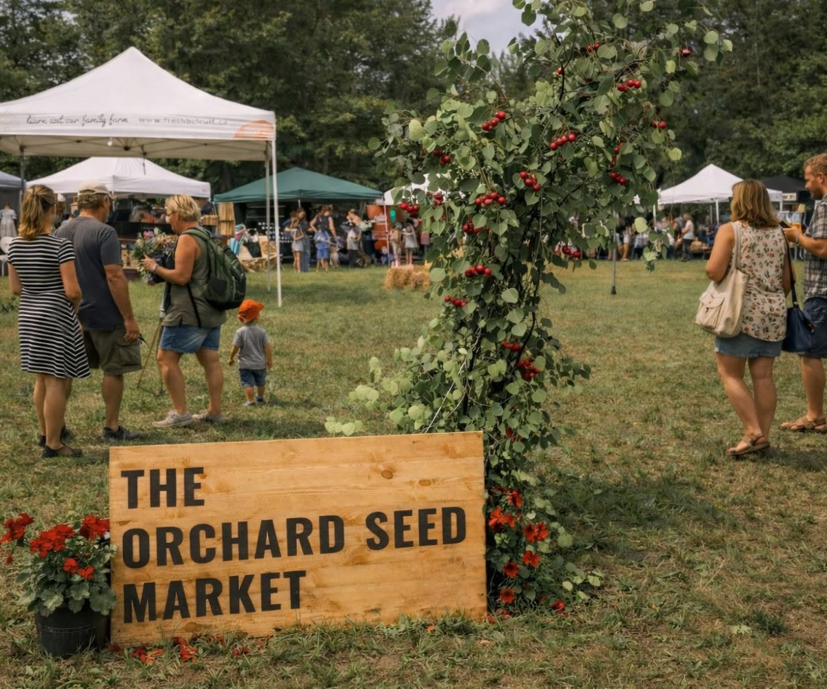 The Orchard Seed Market