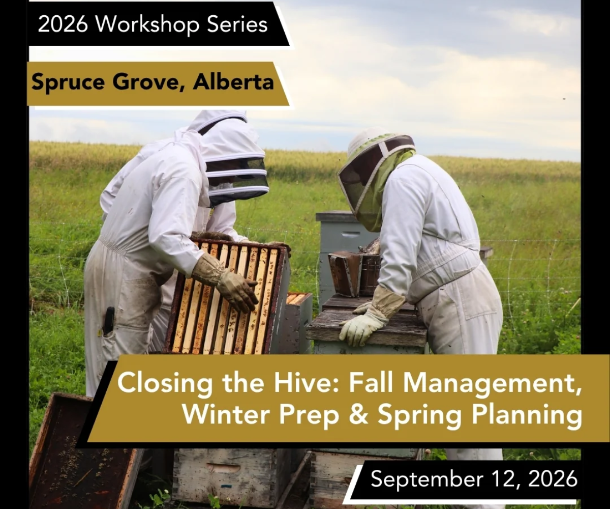Bee Maid Honey Workshop