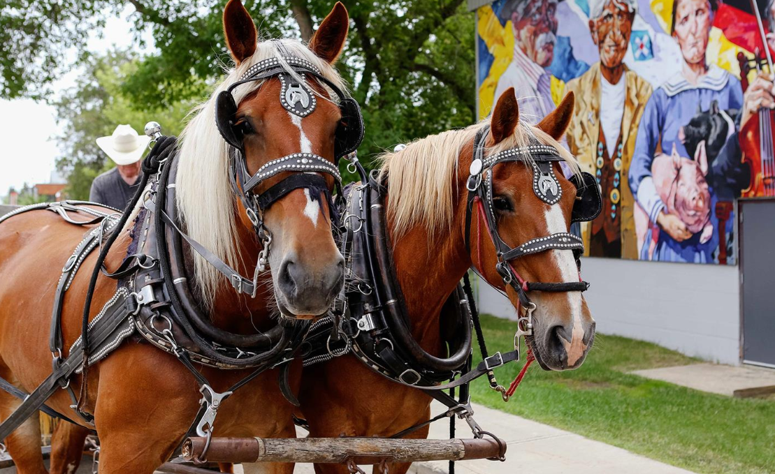 Stony Plain Horse & Buggy Mural Tour