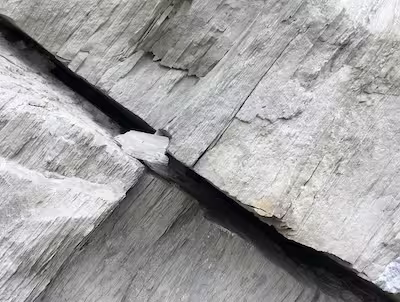 A crack in a rock