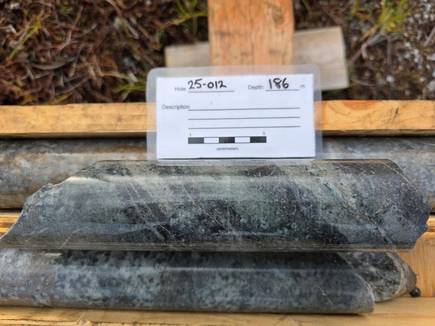 A close-up of some rocksAI-generated content may be incorrect.