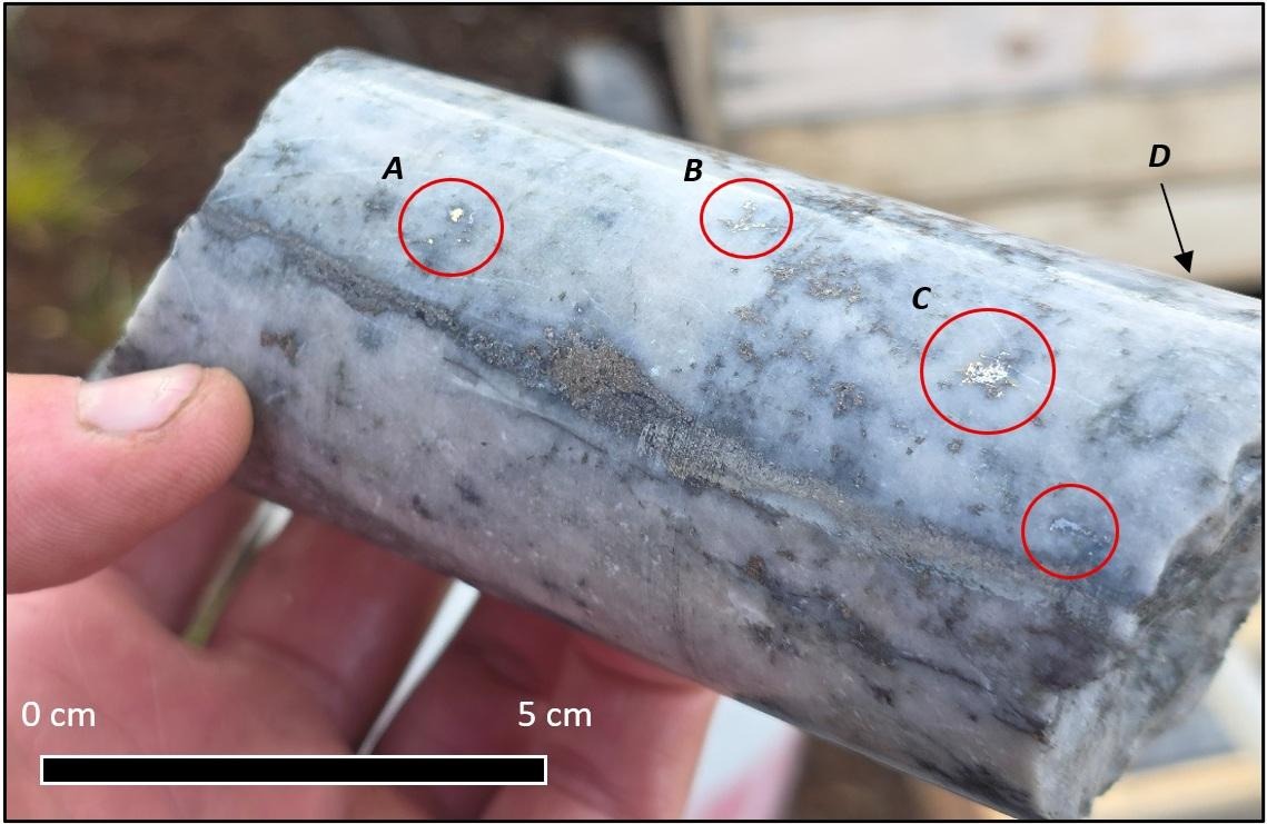 A close-up of a stoneAI-generated content may be incorrect.