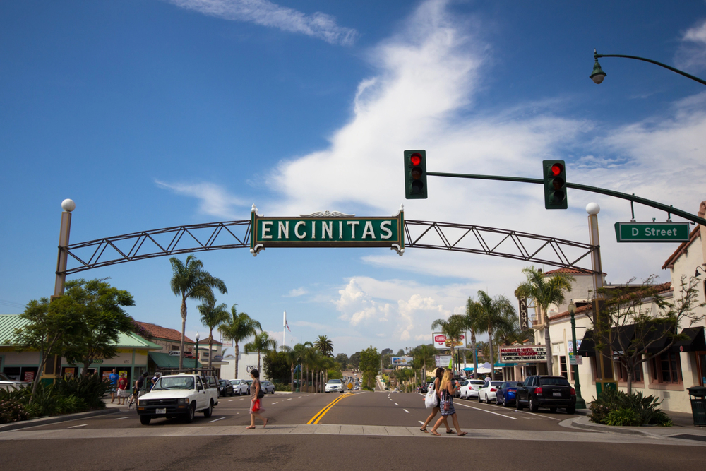 Pest Control in Encinitas, CA