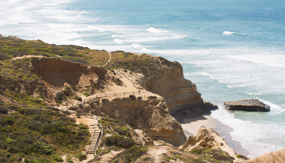 Pest Control in Del Mar, CA