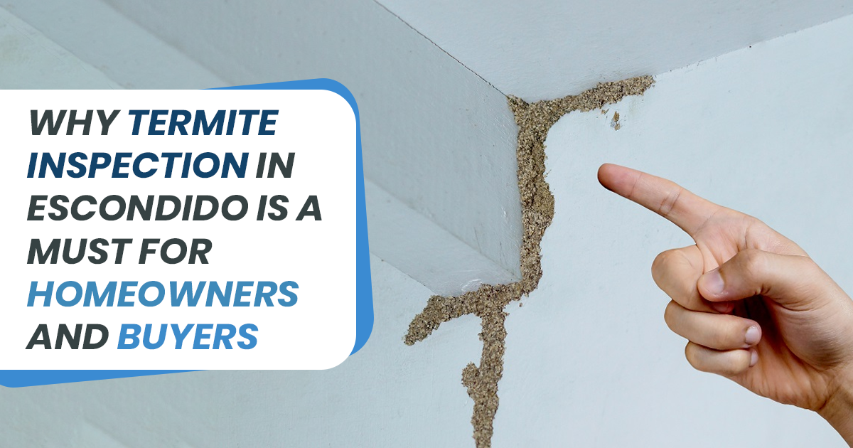 Why Termite Inspection in Escondido Is a Must for Homeowners and Buyers