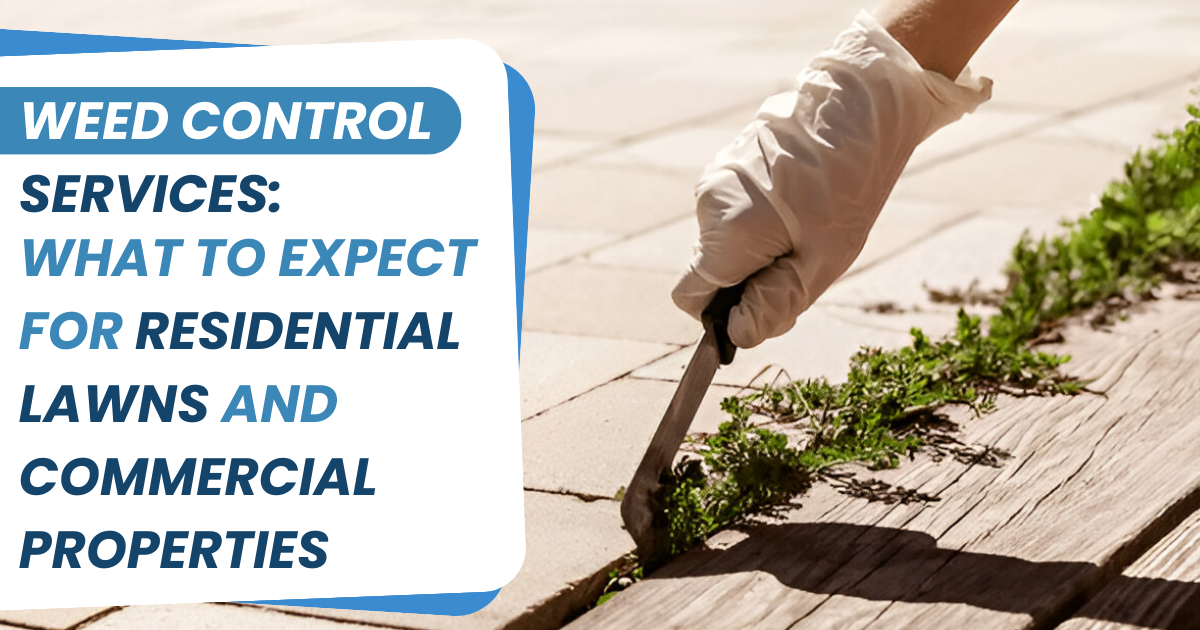 Weed control services