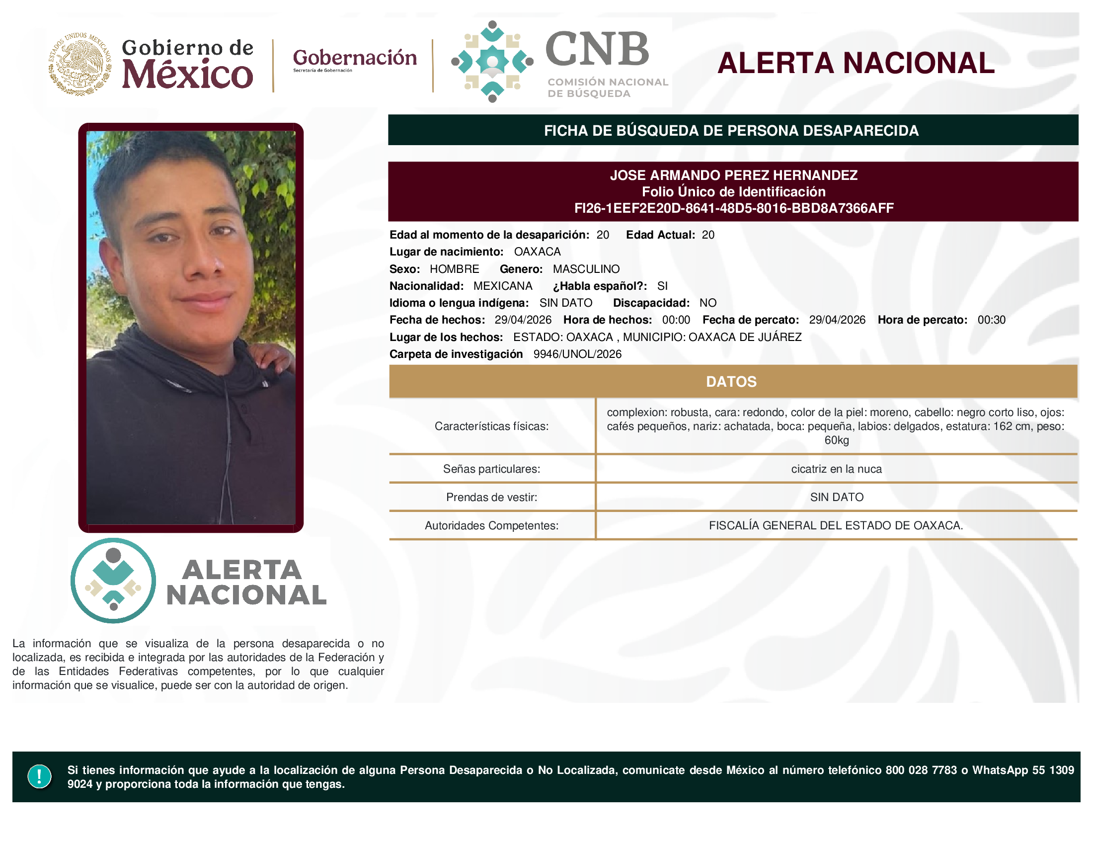 JOSE ARMANDO PEREZ HERNANDEZ