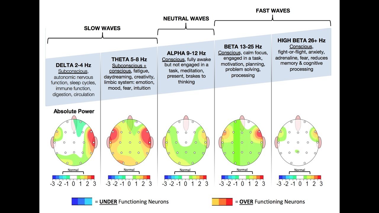 Patient Brain Map Introduction