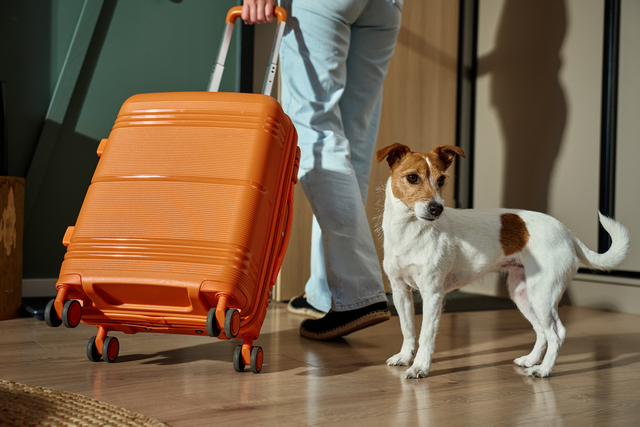 Woman leaving home with a small dog and orange suitcase
