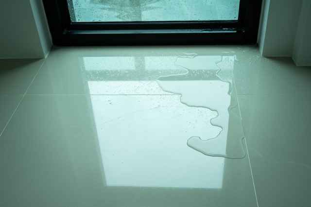 Water on tiled floor in front of a glass door