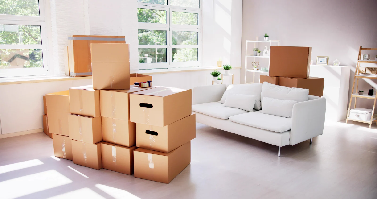 Why You Should Book a Professional Moving Company for Your Next Relocation