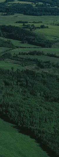 Patchwork of green forests and farmlands from above