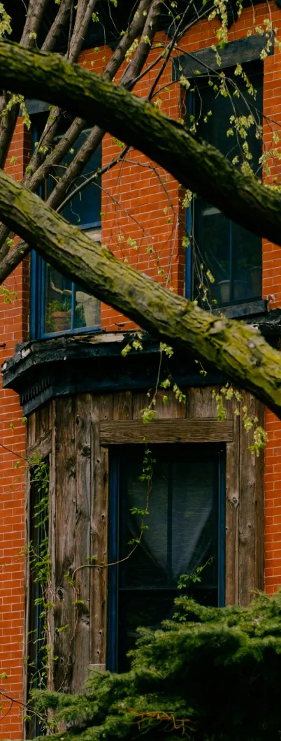 Brick building with wooden window frame partially covered by tree branches