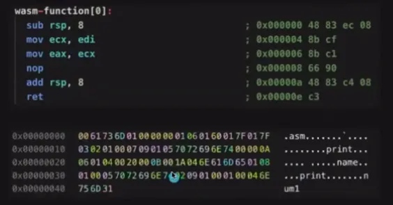 compiled-wasm