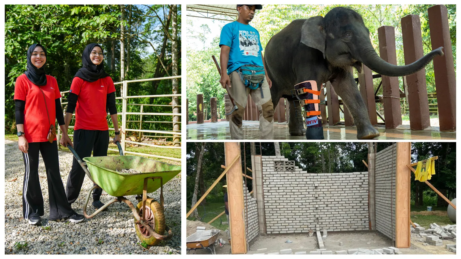 A collage of Deriv’s CSR efforts, featuring volunteers at a conservation site, an elephant wearing a Deriv-branded prosthetic leg, and a community construction project.