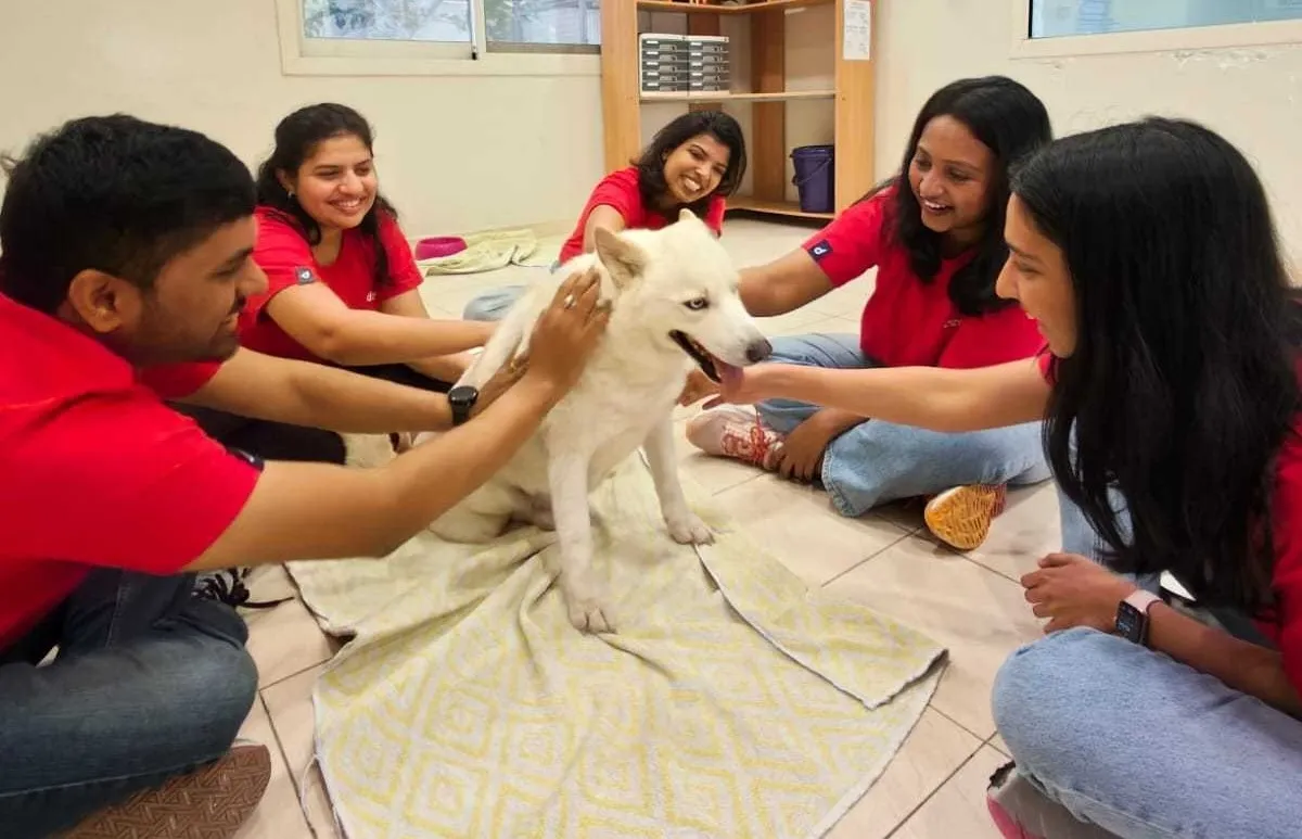 A group of Deriv employees playing with a rescue dog at a non profit animal shelter.