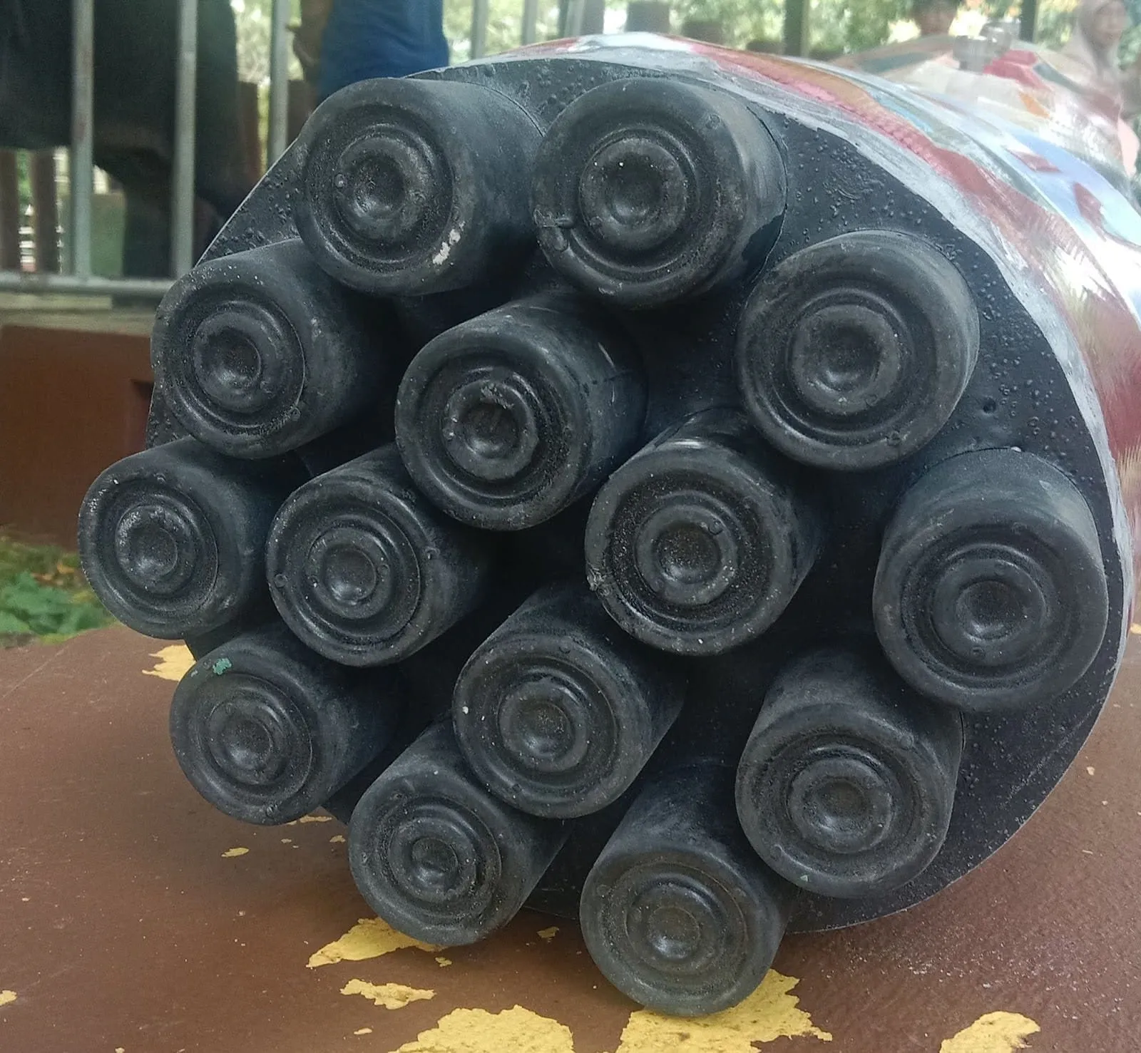 صورة تظهر نعل الساق الصناعية لفيل شاب