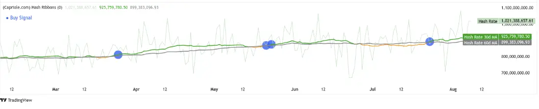 مخطط من TradingView بعنوان "(Capriole.com) Hash Ribbons" يظهر مقاييس معدل الهاش للبيتكوين وعلامات إشارة الشراء.