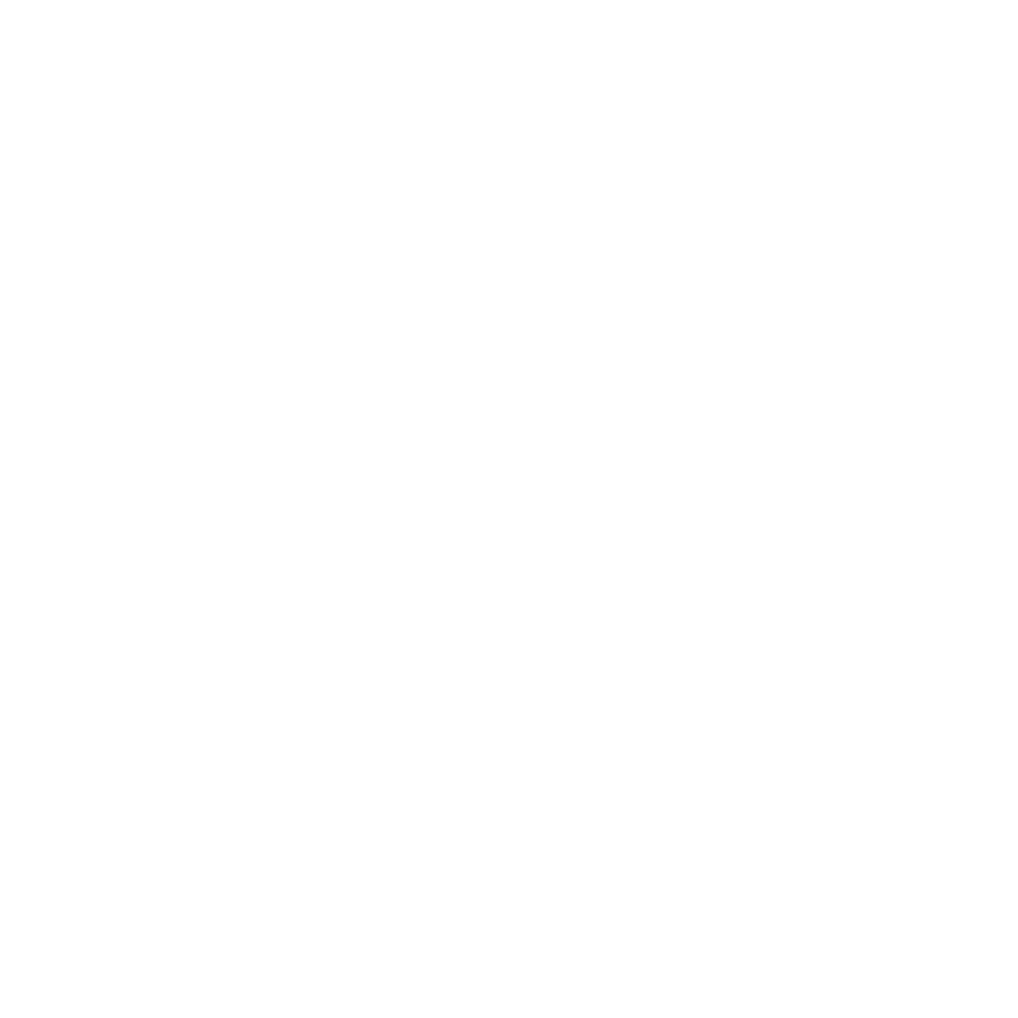 Raleigh Founded Logo