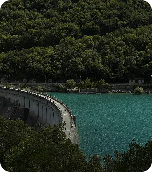 A large body of water surrounded by trees.