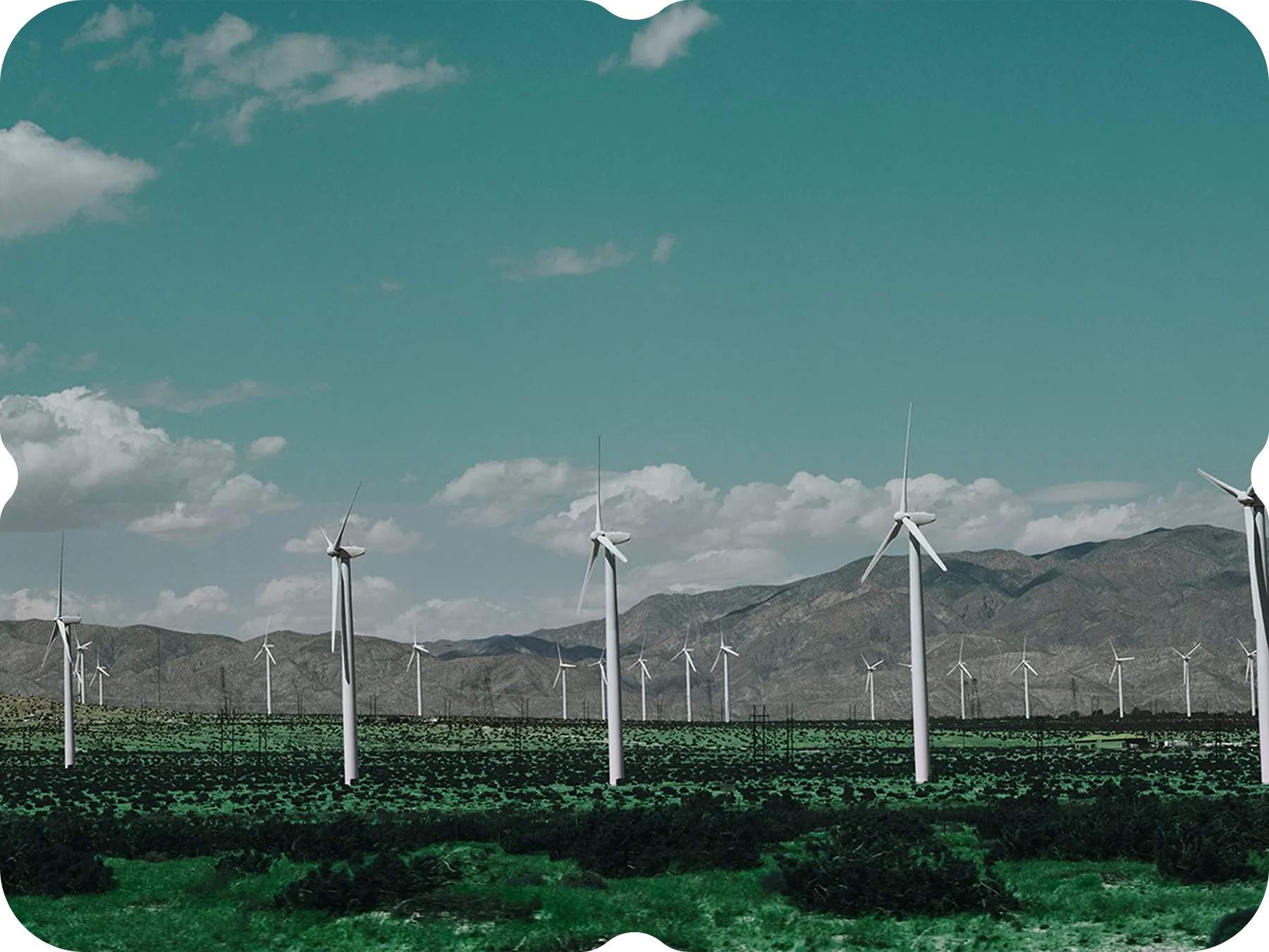 A group of windmills in a field with mountains in the background.