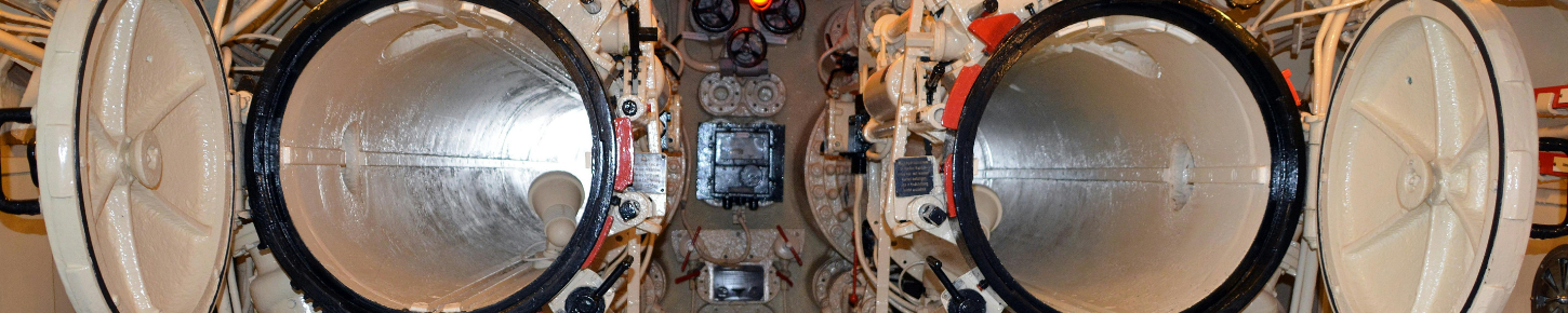 Schotelveerring toepassing