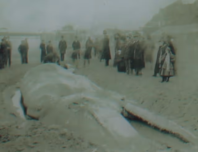 Bournemouth 1897 - The Whale on the Pier