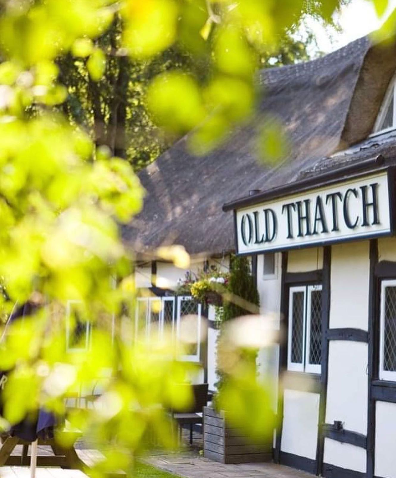 The Old Thatch