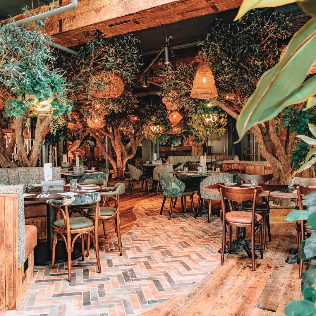 A New Bloom in Bournemouth's Heart: 'The Botanist' Signals a Flourishing Town Centre