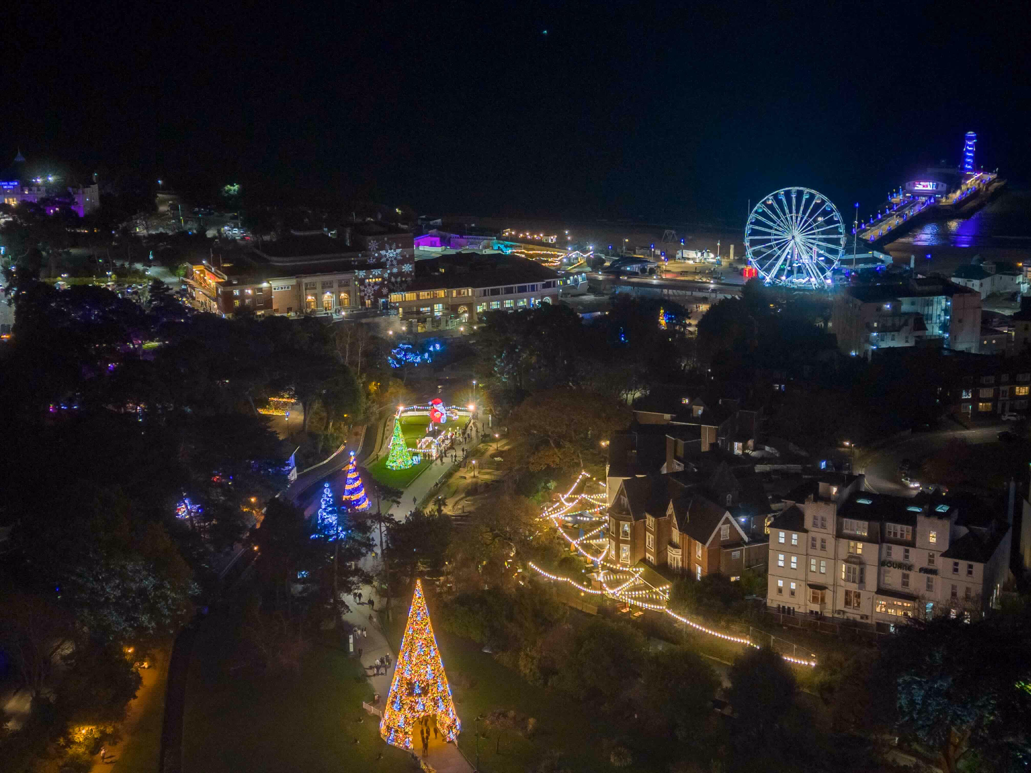 Christmas Tree Wonderland