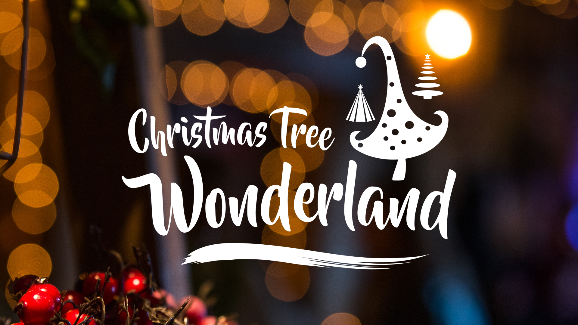 Christmas Tree Wonderland