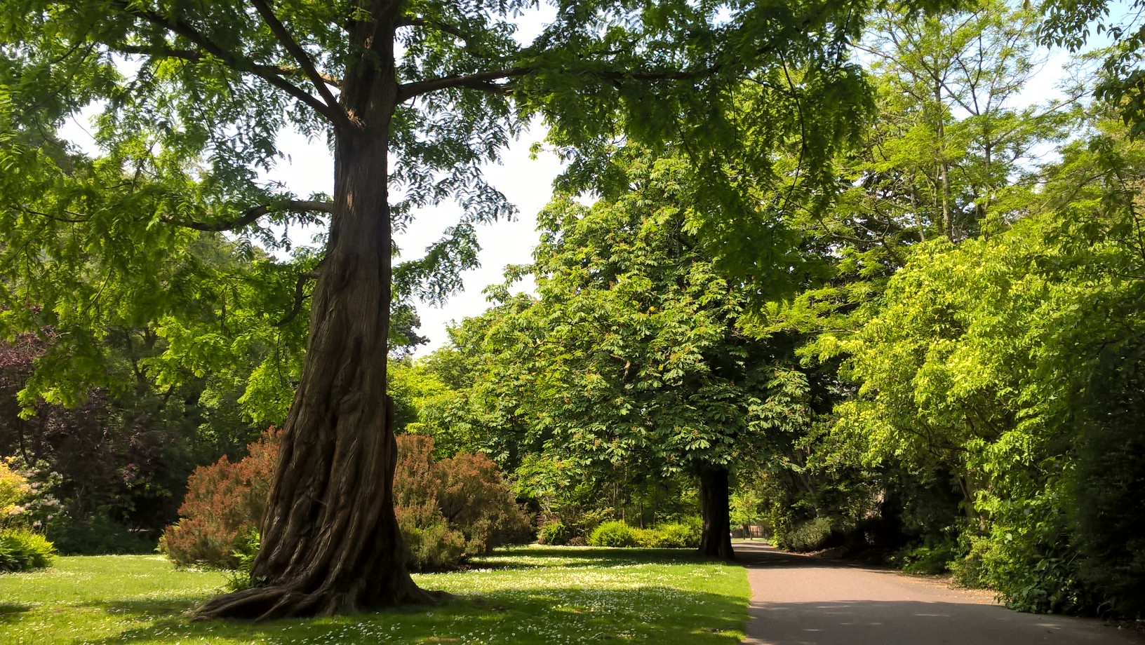 Bournemouth Gardens Tree Trail