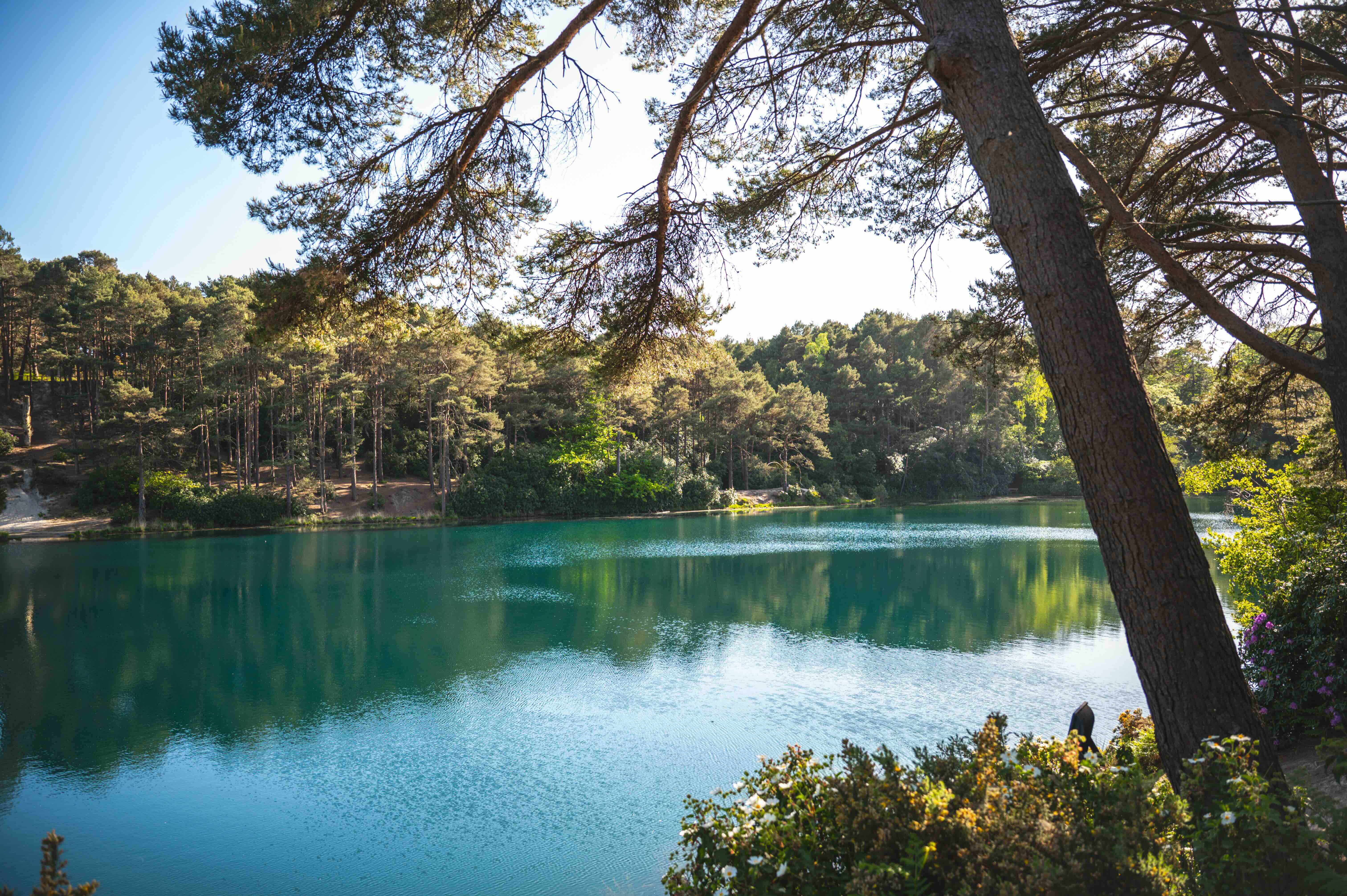 The Blue Pool Nature Reserve & Tearooms