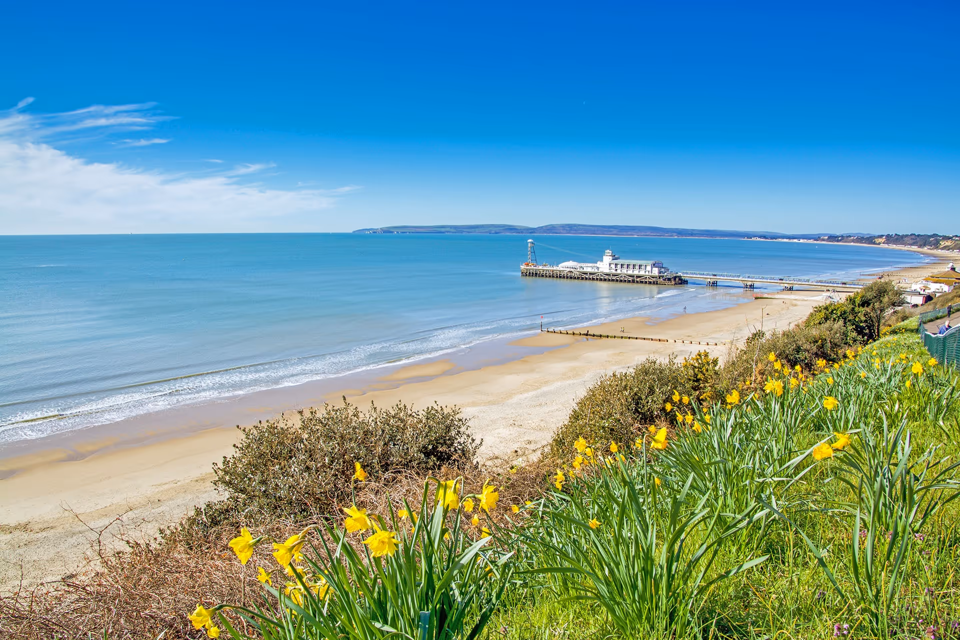 Top things to do in Bournemouth this February
