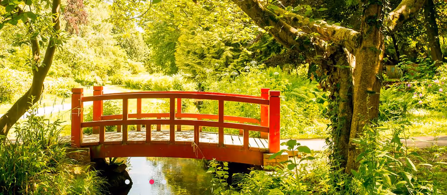 The gardener’s guide to holidaying in Bournemouth, Christchurch and Poole