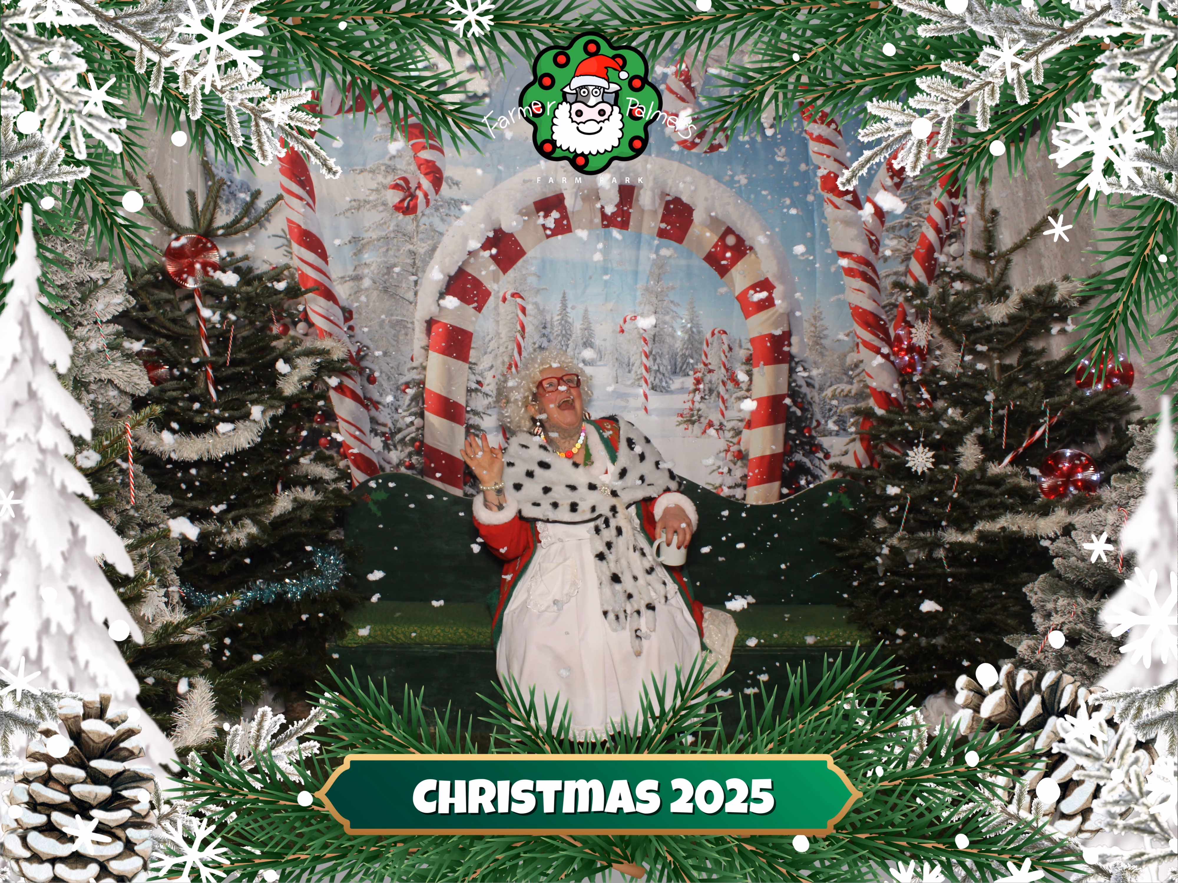 Daytime Farmer Christmas Experience