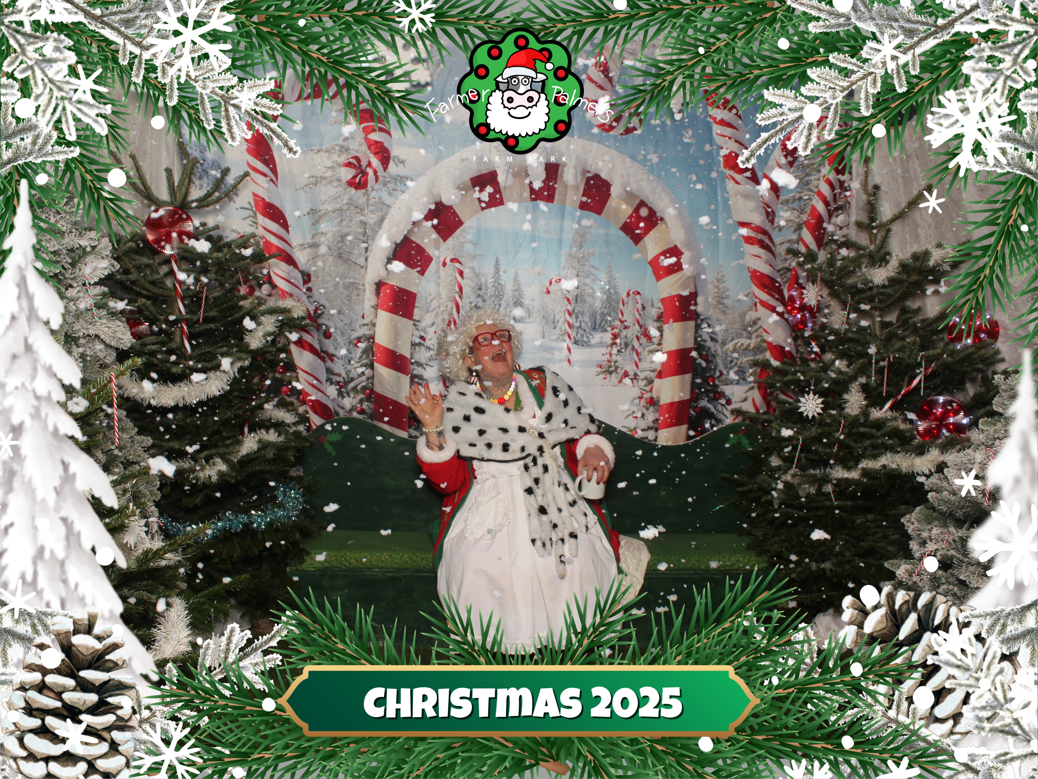 Daytime Farmer Christmas Experience