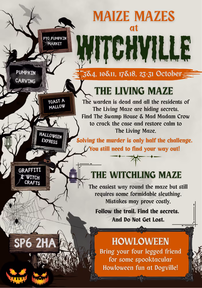 Witchville at Picking Patch